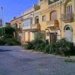 Destruction-of-Trees-at-Nadur