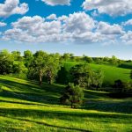 6895416-green-landscape