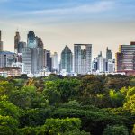 City-Park-Trees-Town