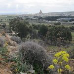 3 Cemetery View