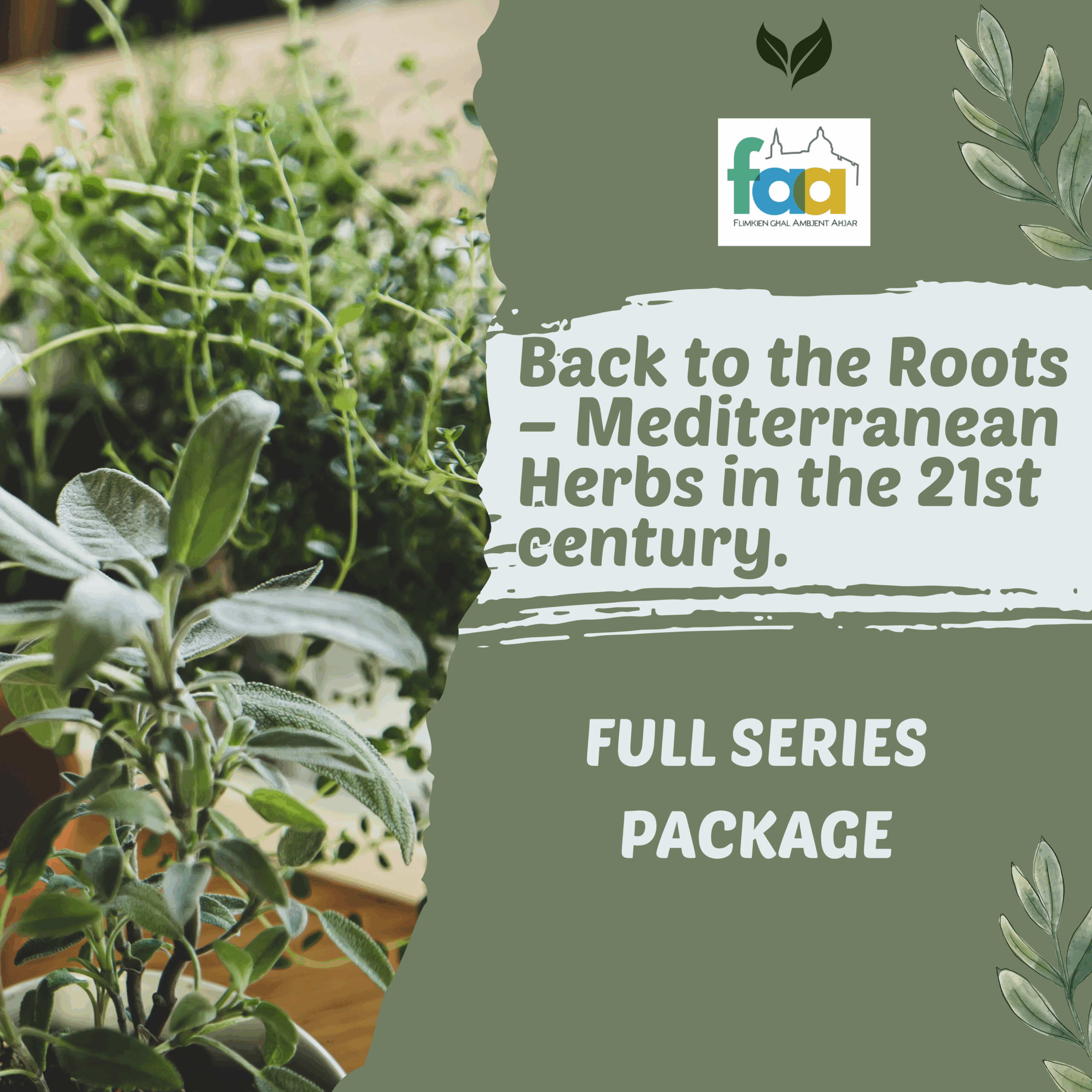 Back to The Roots - Mediterranean Herbs in the 21st Century Full Series of 4 lectures