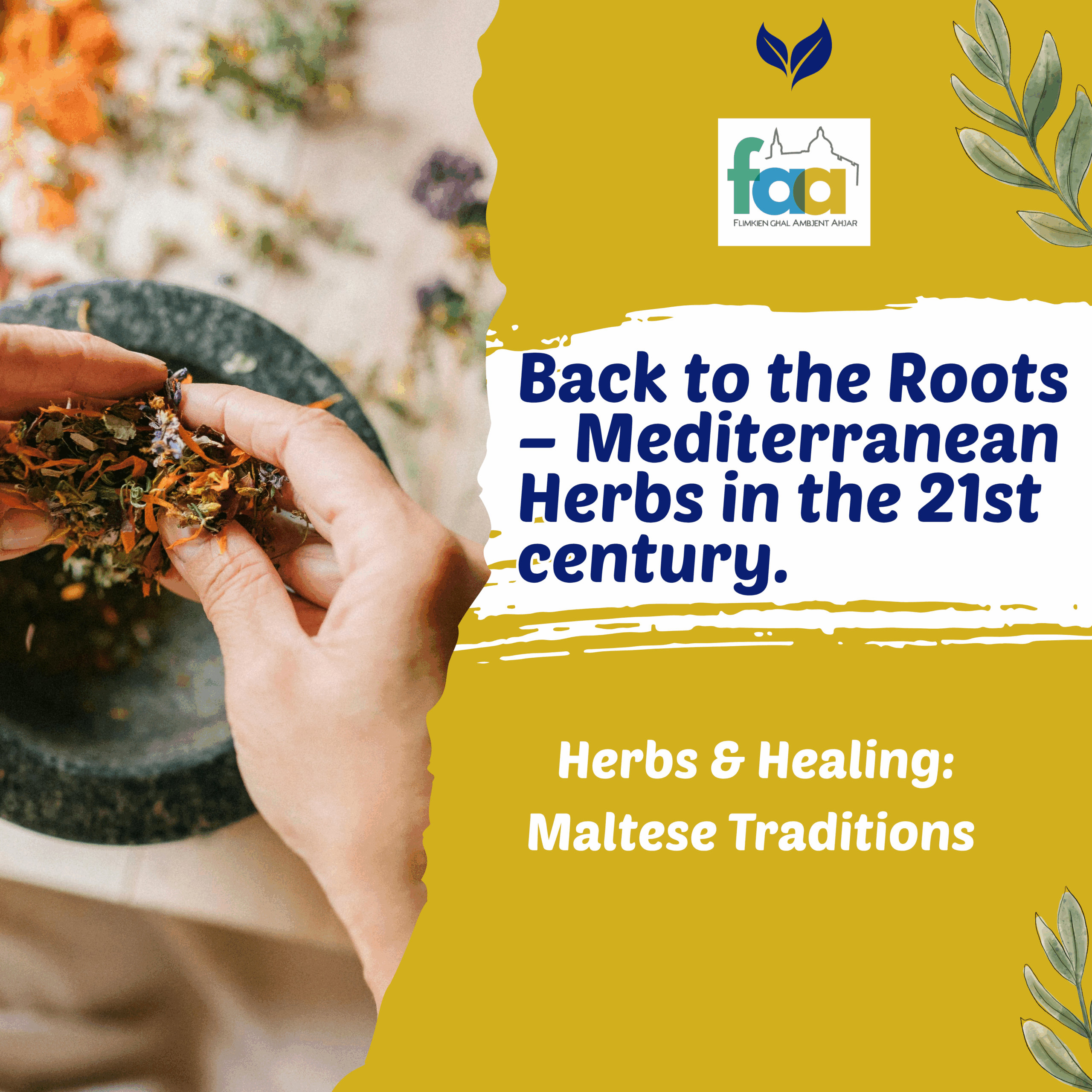 Back to The Roots - Mediterranean Herbs in the 21st Century Lecture 1 Traditional Herbal Healing